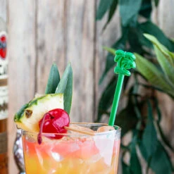 Palm Tree Cocktail Stirrers - Box Of 1000 -Bar Essentials Shop 7020s 1 kit palm tree cocktail stirrers 4 1 78781.1590768473