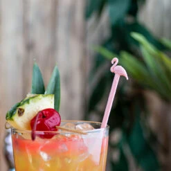 Pink Flamingo Cocktail Stirrers - Box Of 1000 9 Pink Flamingo Cocktail Stirrers - Box Of 1000 -Bar Essentials Shop 7049 1 kit pink flamingo cocktail stirrers 4 1 95134.1590768479