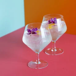 Viski Raye Crystal Footed Gin & Tonic Glasses - 14 Oz - Set Of 2 -Bar Essentials Shop 9418 002 76926.1590764815