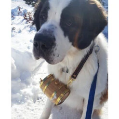 Saint Bernard Dog Collar Barrel -Bar Essentials Shop dogbarrel 2 94662.1594415220