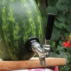 Watermelon Tap® - Deluxe Kit -Bar Essentials Shop fs kit faucet shank watermelon b2 3 98276.1590770475