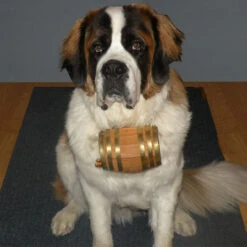 Saint Bernard Dog Collar Barrel -Bar Essentials Shop stberdog xx dogbarrel bz1 2 95087.1594415220